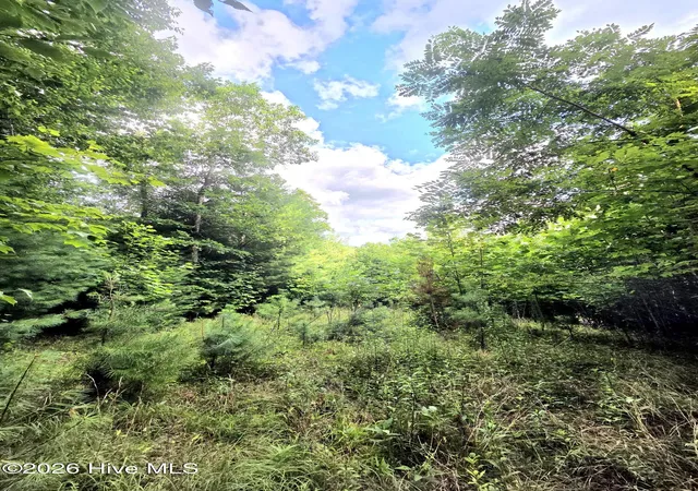 Photo 1 of Land for sale at 50 Camp Branch Rd, Topton, NC 28781 | MLS# 100590283 | Listing updated on 2026-07-31