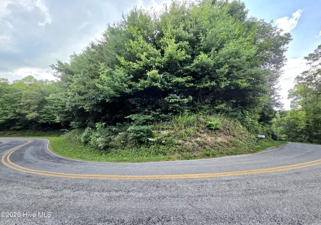 Photo 3 of Land for sale at 50 Camp Branch Rd, Topton, NC 28781 | MLS# 100590283 | Listing updated on 2026-07-31