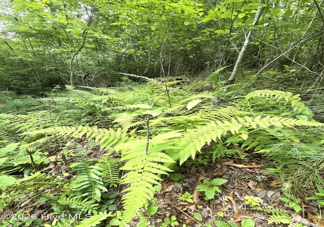 Photo 3 of Land for sale at 50 Camp Branch Rd, Topton, NC 28781 | MLS# 100590283 | Listing updated on 2026-07-31