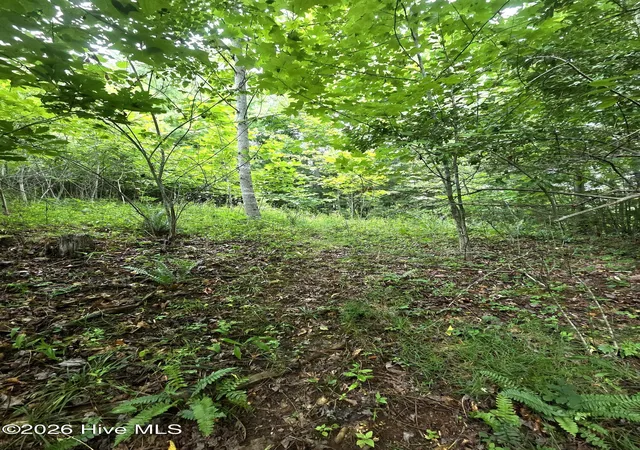 Photo 4 of Land for sale at 50 Camp Branch Rd, Topton, NC 28781 | MLS# 100590283 | Listing updated on 2026-07-31