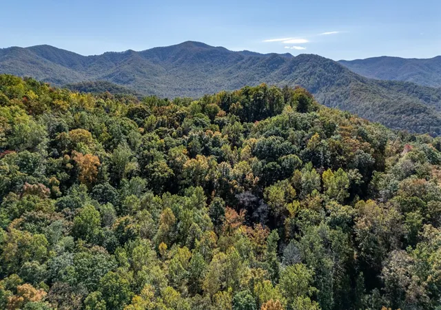 Homes for sale in Hayesville, NC | Lot 38 Skyview At Wildlife Acres, Hayesville, NC 28904 | MLS# 98525209