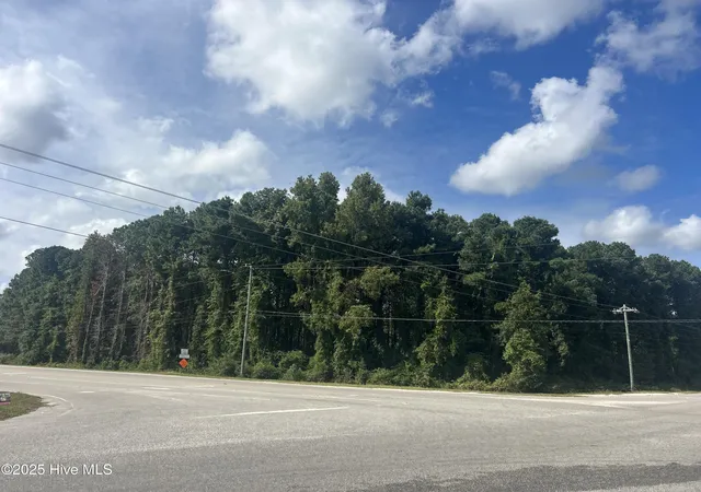 5th image of Tbd Nc 74 Hwy W, Lumberton, NC 28360 | MLS# 100534667