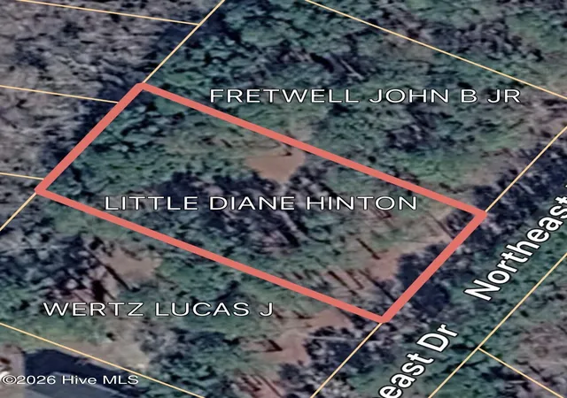 1st image of 0 Northeast Dr, Burgaw, NC 28425 | MLS# 100572920