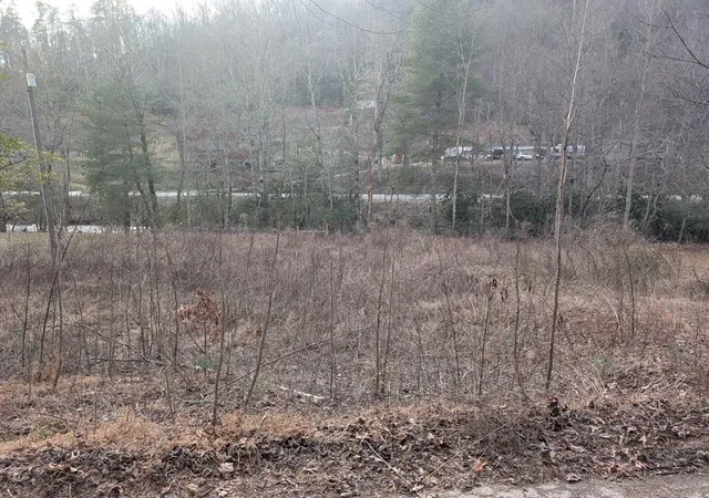 Homes for sale in Robbinsville, NC | Lot 3 Riverview, Robbinsville, NC 28771 | MLS# 98500242