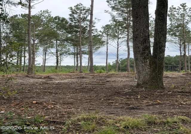 Photo 1 of Land for sale at Tbd/lot 4 Elmore, Laurinburg, NC 28352 | MLS# 100599985 | Listing updated on 2026-08-31