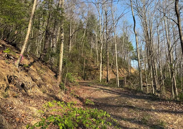 Photo 4 of Land for sale at Lot 5 Huffman Crk Rd, Robbinsville, NC 28771 | MLS# 98544494 | Listing updated on 2026-07-24