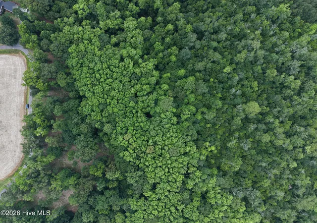 Photo 3 of Land for sale at 506 Batchelor Bay Dr, Windsor, NC 27983 | MLS# 8108608 | Listing updated on 2026-07-16