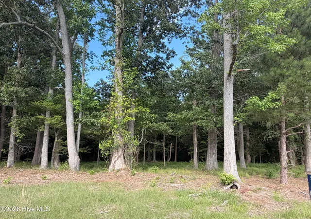 Photo 3 of Land for sale at 506 Batchelor Bay Dr, Windsor, NC 27983 | MLS# 8108608 | Listing updated on 2026-07-16