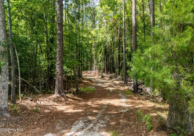 Photo 3 of Land for sale at 000 Jeff Rd, Arapahoe, NC 28510 | MLS# 100596364 | Listing updated on 2026-09-08
