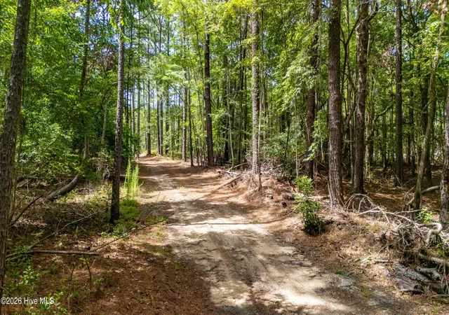 Photo 4 of Land for sale at 000 Jeff Rd, Arapahoe, NC 28510 | MLS# 100596364 | Listing updated on 2026-09-08