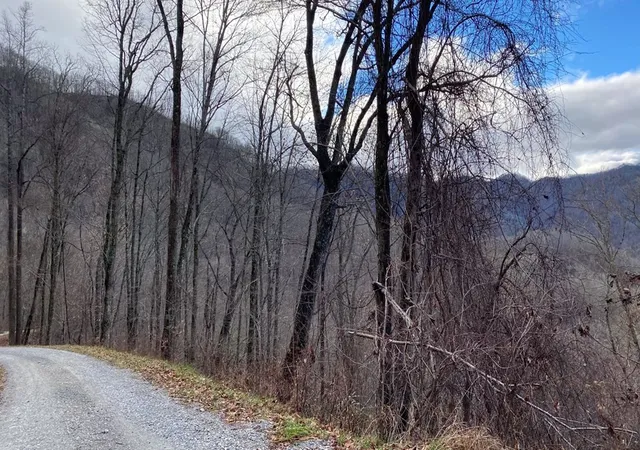 Homes for sale in Bryson City, NC | Lot J1 Georgianna Ln, Bryson City, NC 28713 | MLS# 98525218