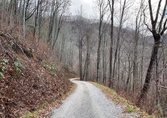 Homes for sale in Bryson City, NC | Lot J1 Georgianna Ln, Bryson City, NC 28713 | MLS# 98525218