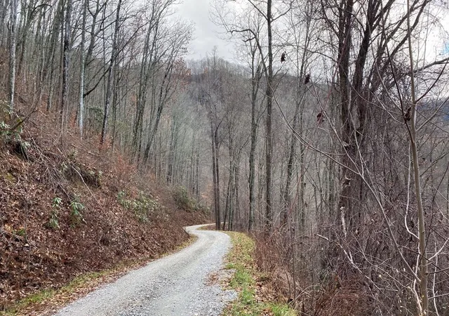 Homes for sale in Bryson City, NC | Lot J1 Georgianna Ln, Bryson City, NC 28713 | MLS# 98525218