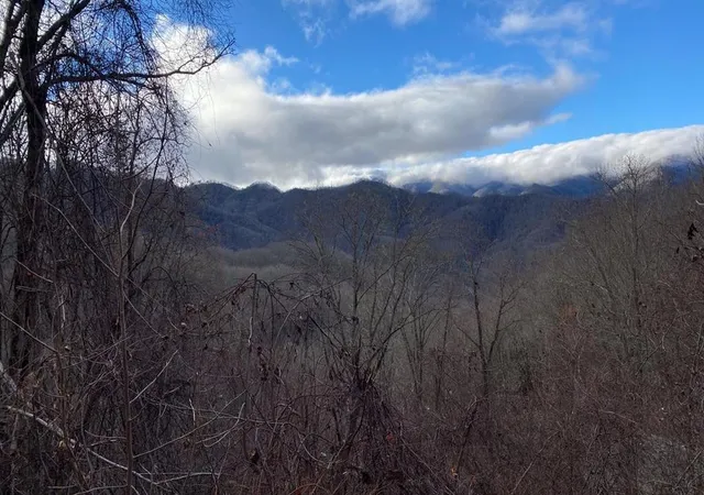 Homes for sale in Bryson City, NC | Lot J1 Georgianna Ln, Bryson City, NC 28713 | MLS# 98525218