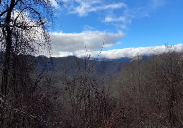 Homes for sale in Bryson City, NC | Lot J1 Georgianna Ln, Bryson City, NC 28713 | MLS# 98525218