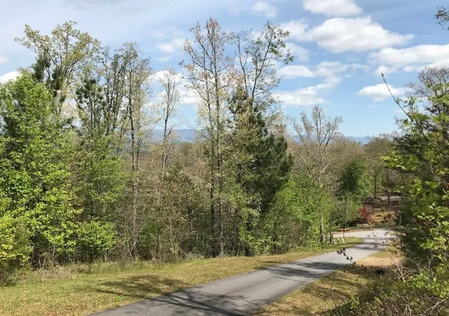 Photo 11 of Land for sale at Lot 29 Brasstown View Rd, Brasstown, NC 28902 | MLS# 98543677 | Listing updated on 2026-06-01