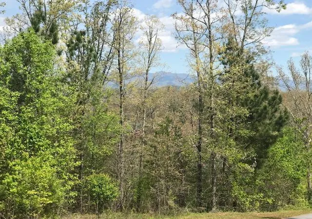 Photo 1 of Land for sale at Lot 29 Brasstown View Rd, Brasstown, NC 28902 | MLS# 98543677 | Listing updated on 2026-06-01