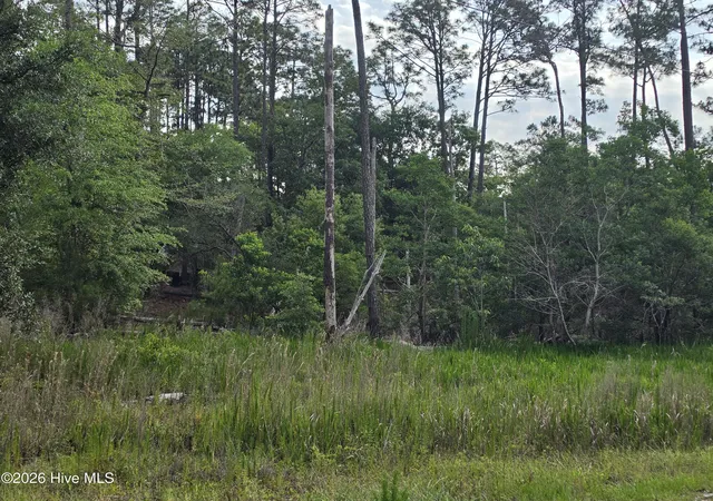 Homes for sale in Southport, NC | 1700 Raeford Rd, Southport, NC 28461 | MLS# 100580811