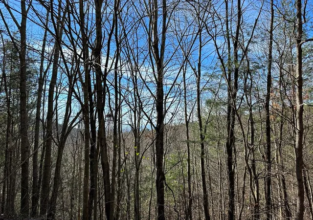 Photo 1 of Land for sale at 5 Lots Ali Dr, Hayesville, NC 28904 | MLS# 98524641 | Listing updated on 2026-07-30