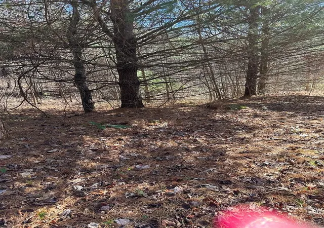 Photo 4 of Land for sale at 5 Lots Ali Dr, Hayesville, NC 28904 | MLS# 98524641 | Listing updated on 2026-07-30