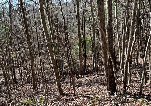 Photo 5 of Land for sale at 5 Lots Ali Dr, Hayesville, NC 28904 | MLS# 98524641 | Listing updated on 2026-07-30