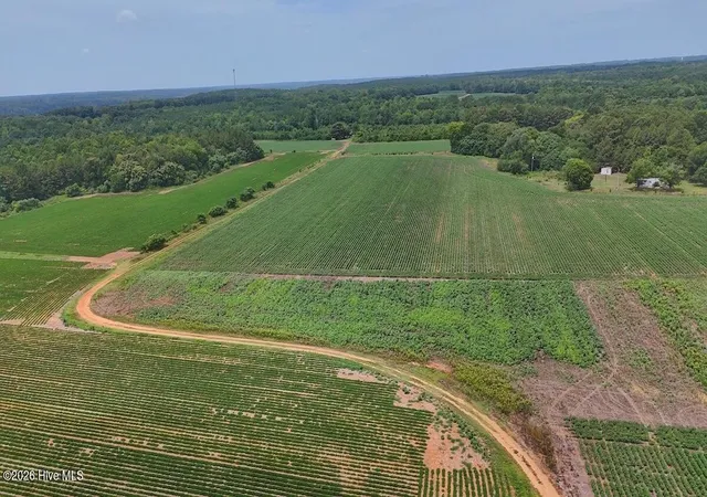 Photo 1 of Land for sale at 0 Nc 46, Gaston, NC 27832 | MLS# 100590532 | Listing updated on 2026-09-22