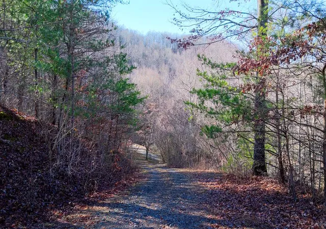 Photo 1 of Land for sale at 1 3 Santeetlah Hts, Robbinsville, NC 28771 | MLS# 98544073 | Listing updated on 2026-07-29