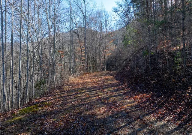 Photo 2 of Land for sale at 1 3 Santeetlah Hts, Robbinsville, NC 28771 | MLS# 98544073 | Listing updated on 2026-07-29