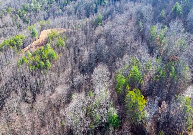 Photo 3 of Land for sale at 1-3 Santeetlah Hts, Robbinsville, NC 28771 | MLS# 98544073 | Listing updated on 2026-07-29