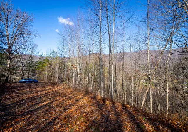 Photo 7 of Land for sale at 1 3 Santeetlah Hts, Robbinsville, NC 28771 | MLS# 98544073 | Listing updated on 2026-07-29