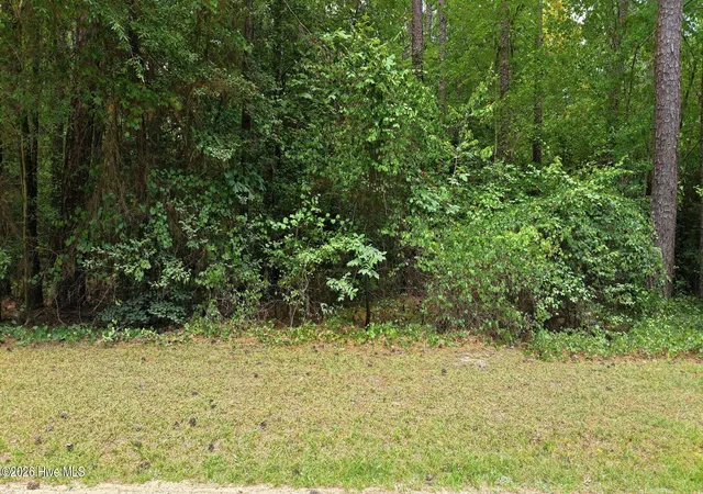 Photo 2 of Land for sale at 109 Equestrian Ln, Carthage, NC 28327 | MLS# 100590239 | Listing updated on 2026-08-18