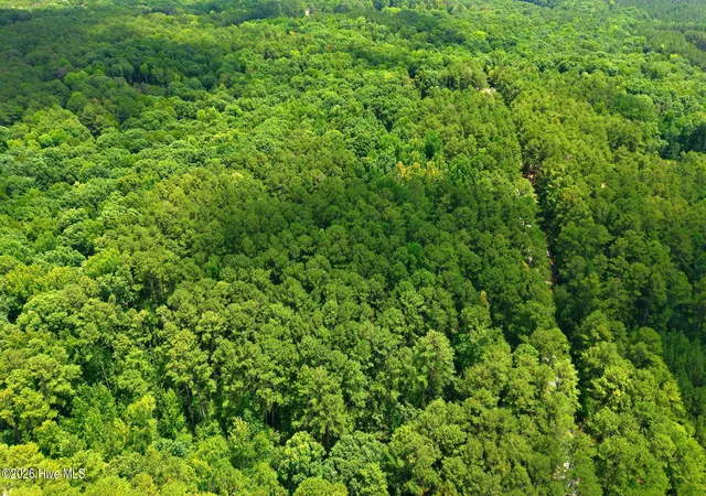Photo 5 of Land for sale at 109 Equestrian Ln, Carthage, NC 28327 | MLS# 100590239 | Listing updated on 2026-08-18