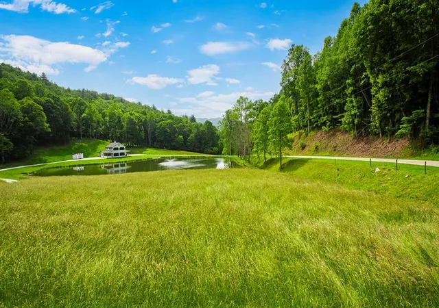 Homes for sale in Topton, NC | 1651 Winding Stairs Rd, Topton, NC 28781 | MLS# 98500022