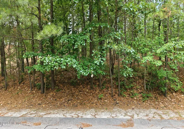 Photo 4 of Land for sale at 128 Vanore Rd, West End, NC 27376 | MLS# 100579121 | Listing updated on 2026-08-18