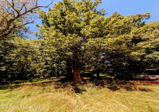 Photo 35 of Single family home for sale at 169 E Vineyard Rd, Hayesville, NC 28904 | MLS# 100594193 | Listing updated on 2026-08-18