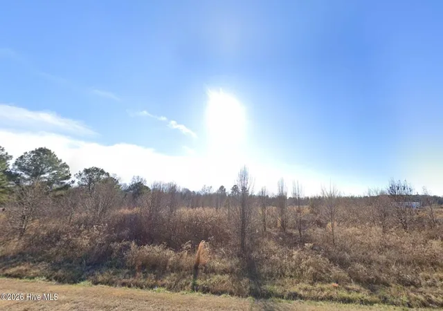 Photo 2 of Land for sale at 10002 Titan Roberts Rd, Erwin, NC 28339 | MLS# 100593415 | Listing updated on 2026-09-29