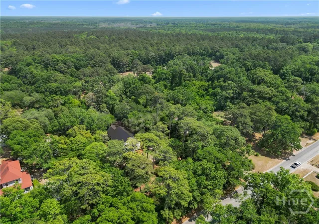 42nd image of 674 Dunlevie Rd, Allenhurst, GA 31301 | MLS# SA354466