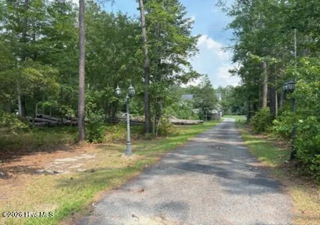 Photo 48 of Single family home for sale at 158 Widow Moore Dr, Currie, NC 28435 | MLS# 100592891 | Listing updated on 2026-08-18