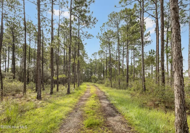 26th image of Tract 2 Hwy 17 Off, Hampstead, NC 28443 | MLS# 100574826