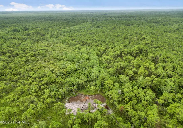 Photo 3 of Land for sale at Tract 2 Hwy 17 Off, Hampstead, NC 28443 | MLS# 100574826 | Listing updated on 2026-07-22