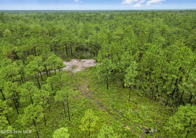 Photo 4 of Land for sale at Tract 2 Hwy 17 Off, Hampstead, NC 28443 | MLS# 100574826 | Listing updated on 2026-07-22