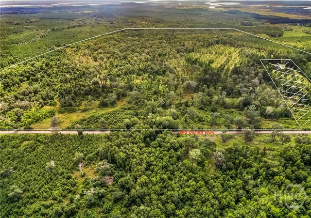 Photo 3 of Land for sale at --- Old Darien Hwy, Riceboro, GA 31323 | MLS# SA334910 | Listing updated on 2026-07-07