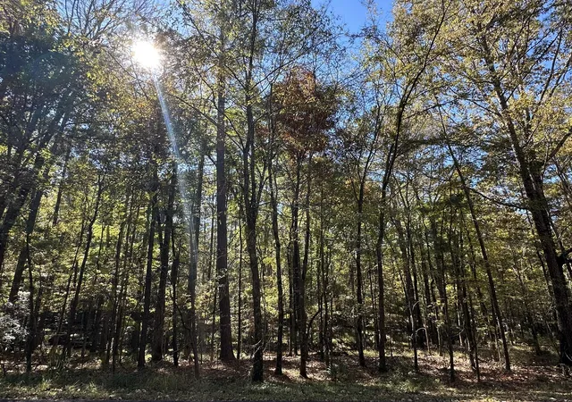 1st image of 167 Southwind Dr, Mc Cormick, SC 29835 | MLS# 98225003