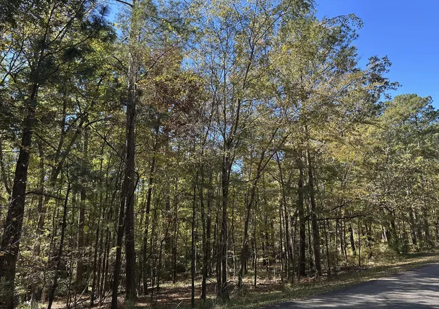 2nd image of 167 Southwind Dr, Mc Cormick, SC 29835 | MLS# 98225003