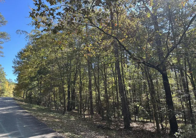 Photo 3 of Land for sale at 167 Southwind Dr, Mc Cormick, SC 29835 | MLS# 98225003 | Listing updated on 2026-08-18