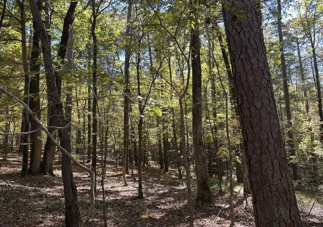Photo 4 of Land for sale at 167 Southwind Dr, Mc Cormick, SC 29835 | MLS# 98225003 | Listing updated on 2026-08-18