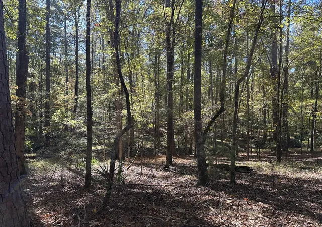 Photo 5 of Land for sale at 167 Southwind Dr, Mc Cormick, SC 29835 | MLS# 98225003 | Listing updated on 2026-08-18