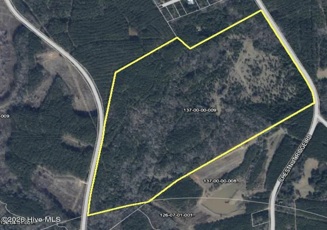 11th image of 0 Chestnut Ridge Rd, Mc Cormick, SC 29835 | MLS# 100585488