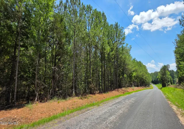 1st image of 0 Chestnut Ridge Rd, Mc Cormick, SC 29835 | MLS# 100585488