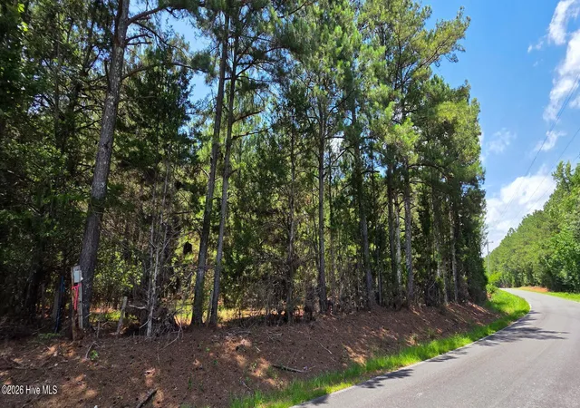 2nd image of 0 Chestnut Ridge Rd, Mc Cormick, SC 29835 | MLS# 100585488